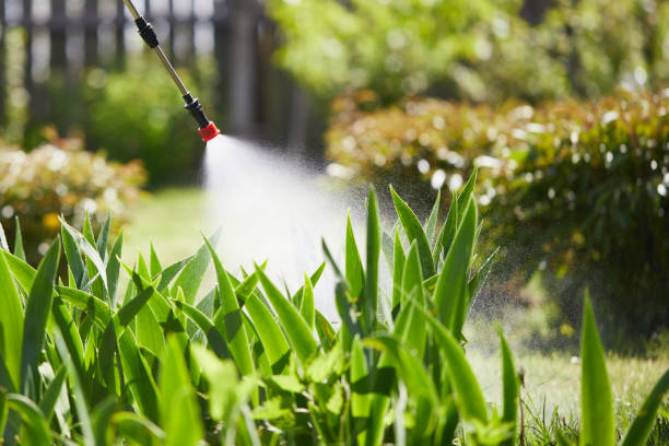 Tamper-Resistant Bait Stations for Rodents in Bellmead