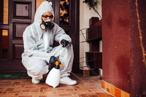 Attic and Crawl Space Rodent Treatment in Bellmead